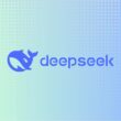 DeepSeek IPO