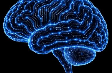 Meta Unveils Brain2Qwerty v2