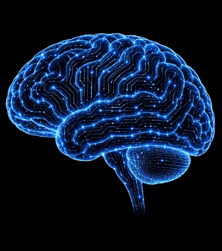 Meta Unveils Brain2Qwerty v2